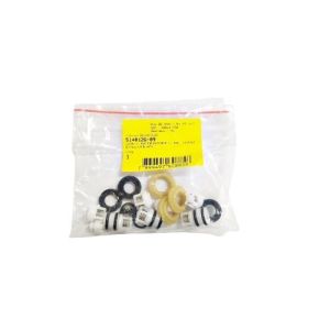 VALVE & SEAL REPAIR KIT BW15-B3 PRESSURE WASHER