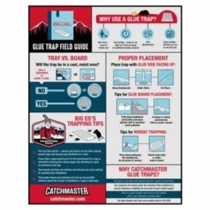 TRAP GLUE MOUSE & INSECT 