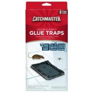 TRAP GLUE MOUSE & INSECT 
