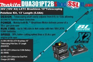 SAW POLE 9-13'TELESCOPIC 10"BAR 36V BL 2X5AH EQUIVALENT TO 30CC