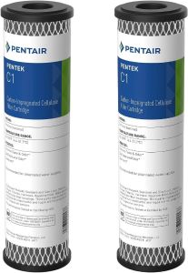 Pentair Pentek C1 Carbon Water Filter, 10-Inch, 5 Micron