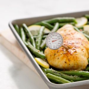 THERMOMETER FOOD 1" SS W/ DIAL