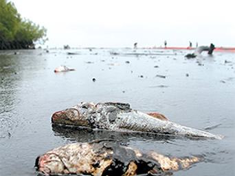 National Centre for Persons with Disabilities Training Session