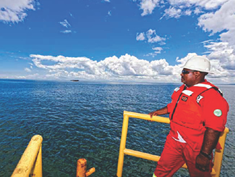 Southern Supplies Limited recognised as a significant contributor to energy efficiency