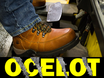 Safety Plus Limited supports the ocelot shoe company in their green partner initiative